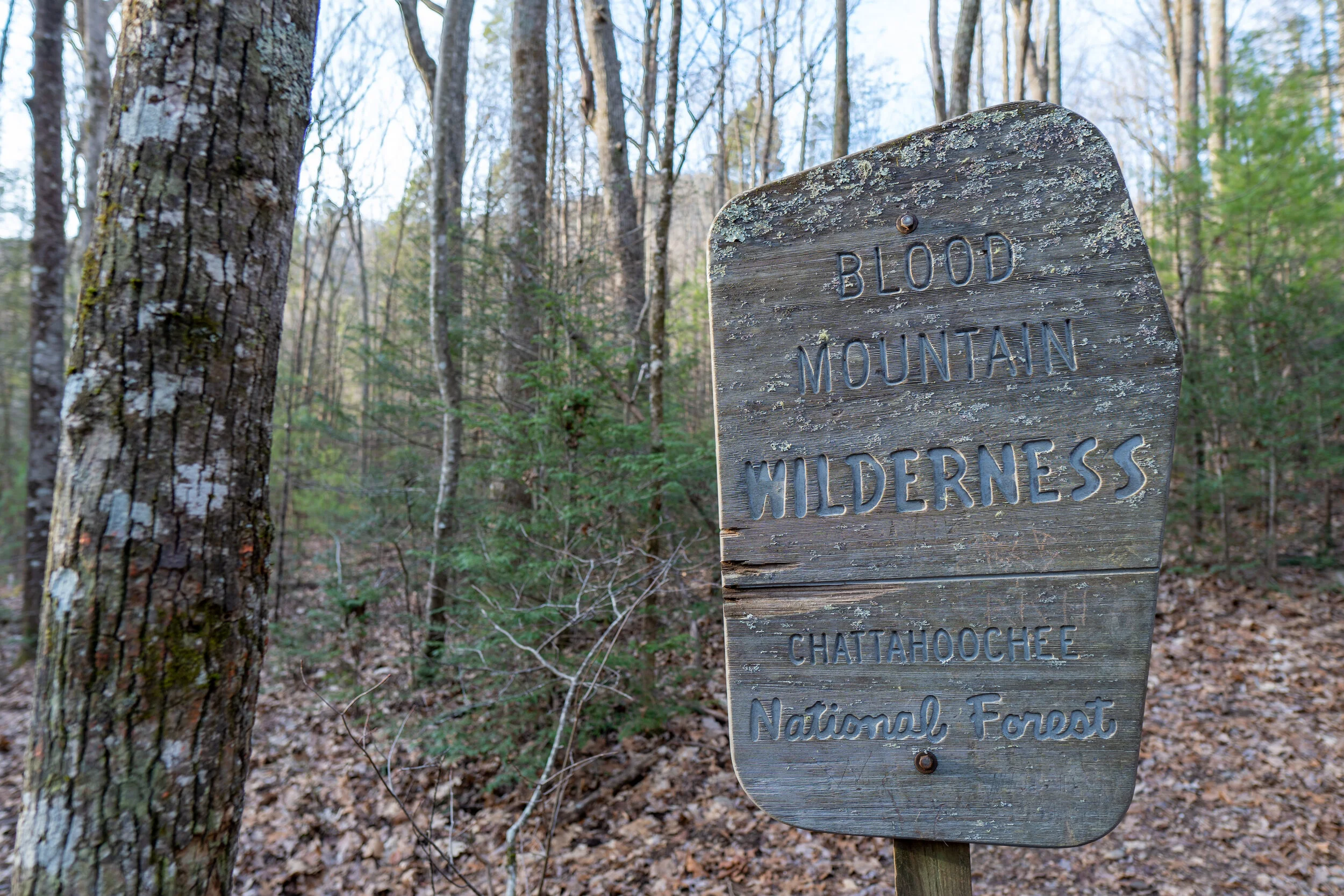 Coosa sales backcountry trail
